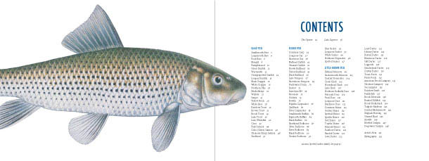 The Great Minnesota Fish Book