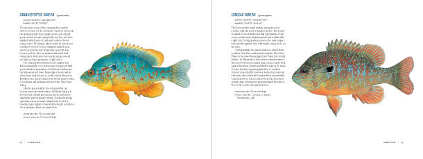 The Great Minnesota Fish Book