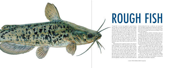 The Great Minnesota Fish Book